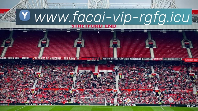 乐鱼体育服务体系